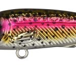 SPRO Iris The Kid Hardlure R.Trout 4,8Cm 6G