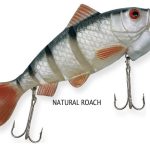 Rapture Dancer Perch wobbler natural Roach 16cm 60 g