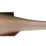 Rapture Mad Spintail Shad 100 Rd